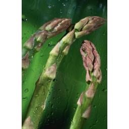 Three Stalks of Asparagus-thumb