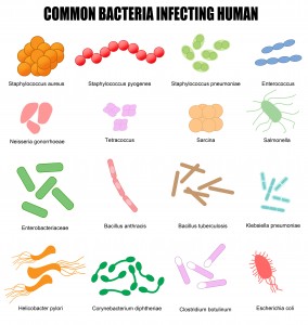 Natural Infection Solutions