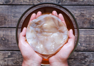 Possible Risk and Benefits of Kombucha Tea